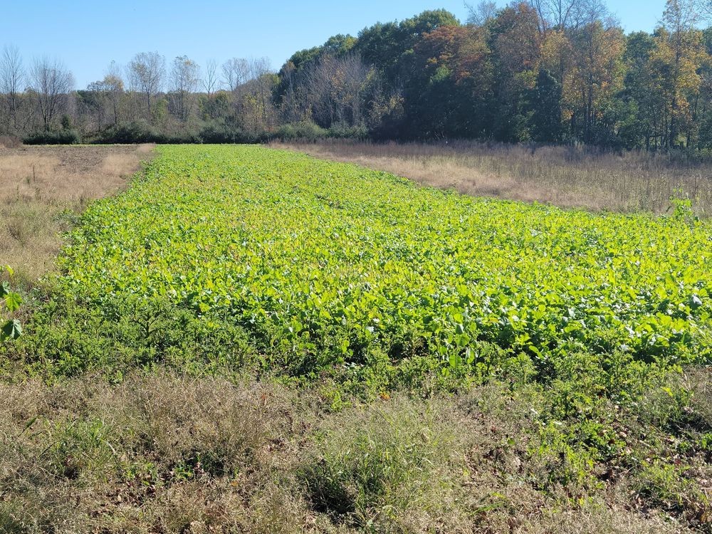 Summer Hunting? Here's What's Still In Season