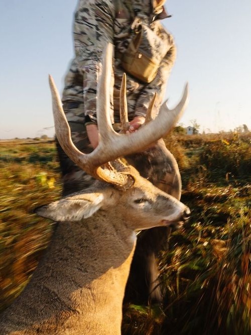 I didn’t know deer could carry disease...
