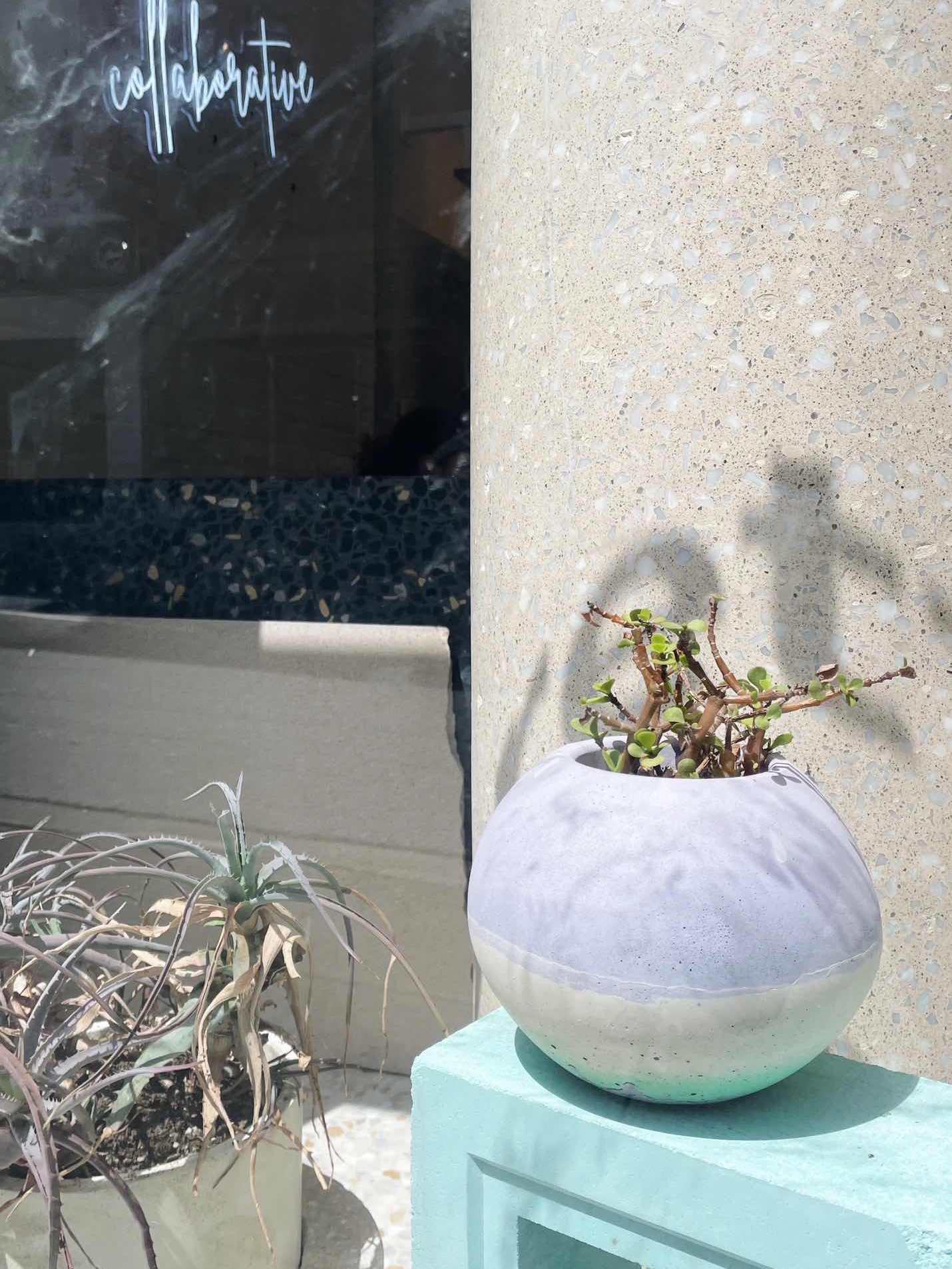 SF | Home Decor with Concrete is so Interesting 🌿