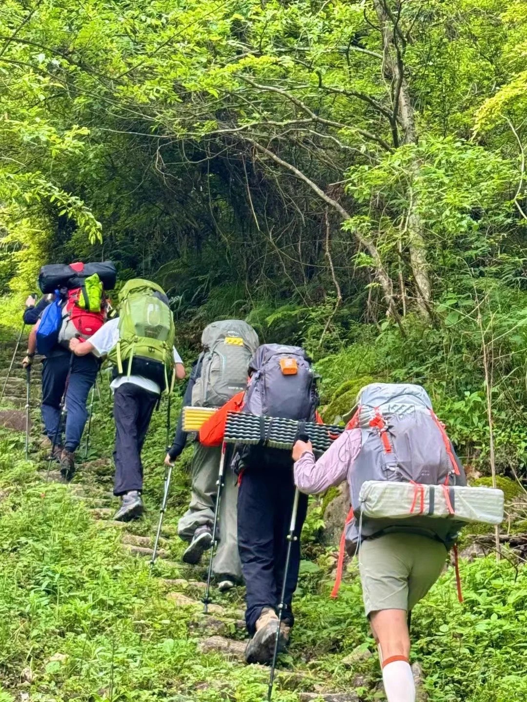 🎒Why are your hiking packs always so stuffed? 