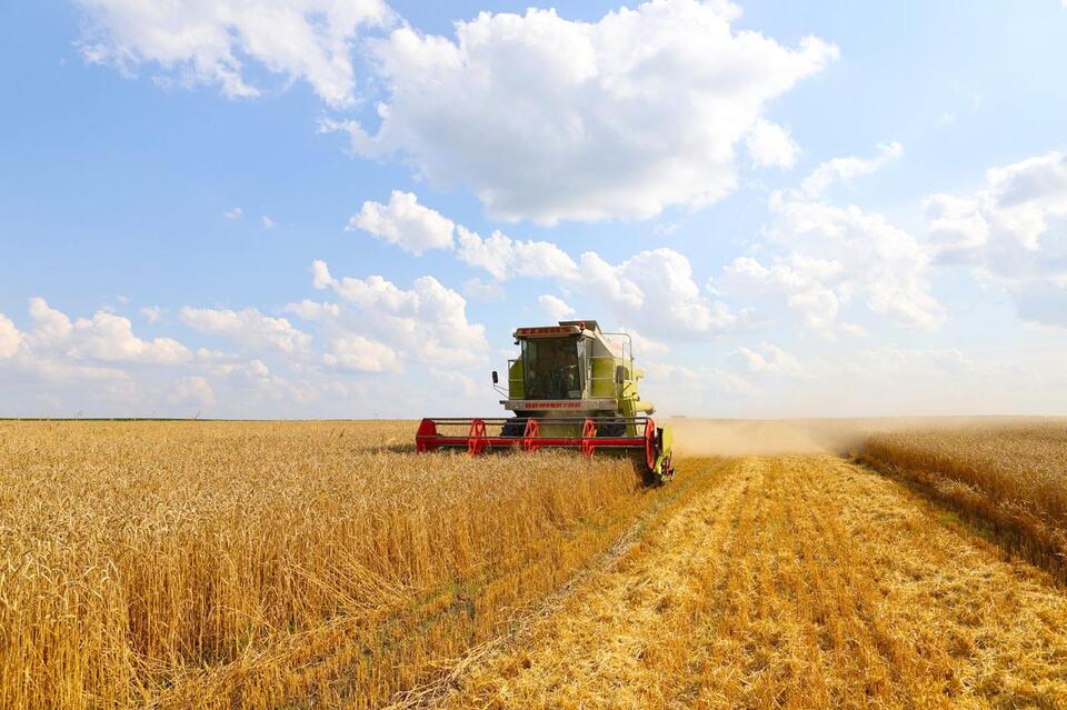Why Your Bread Might Cost More Soon