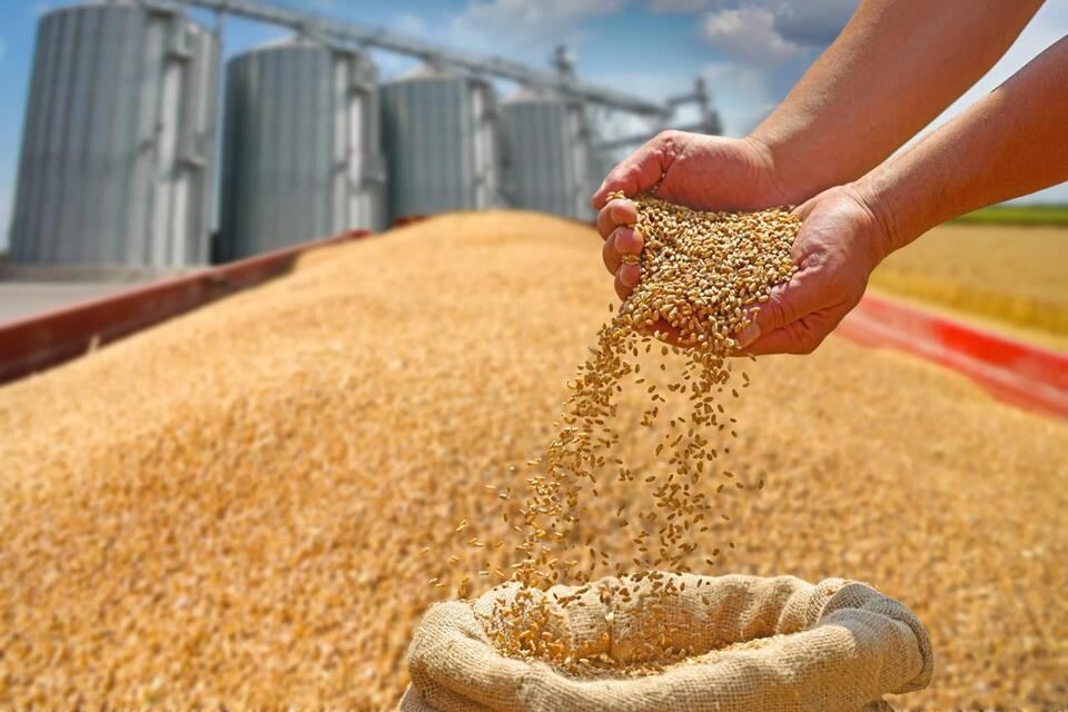 Why Your Bread Might Cost More Soon