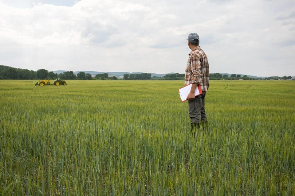 Why Your Bread Might Cost More Soon