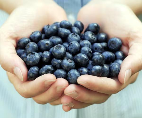 Blueberry Recall Just Got Serious