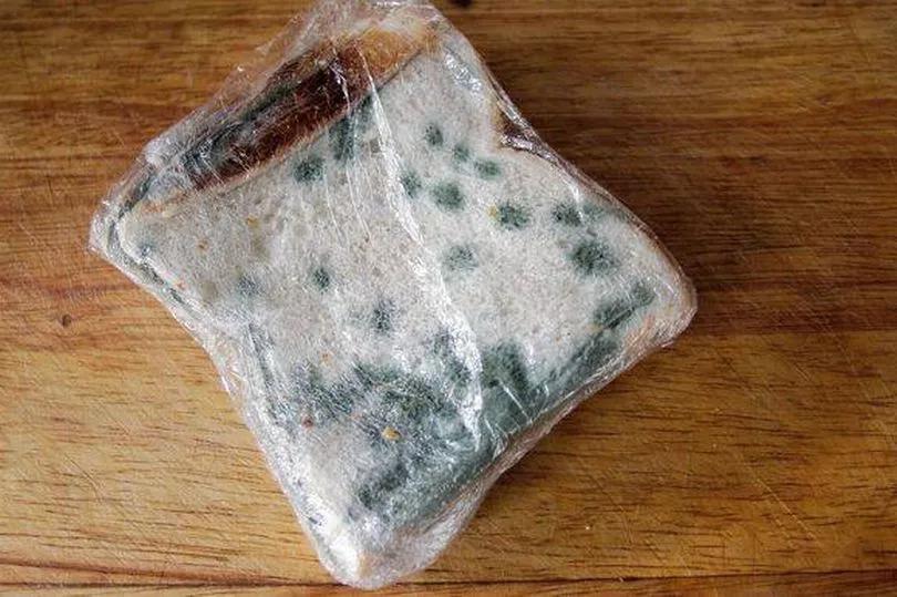The Secret Spot to Keep Bread Mold-Free