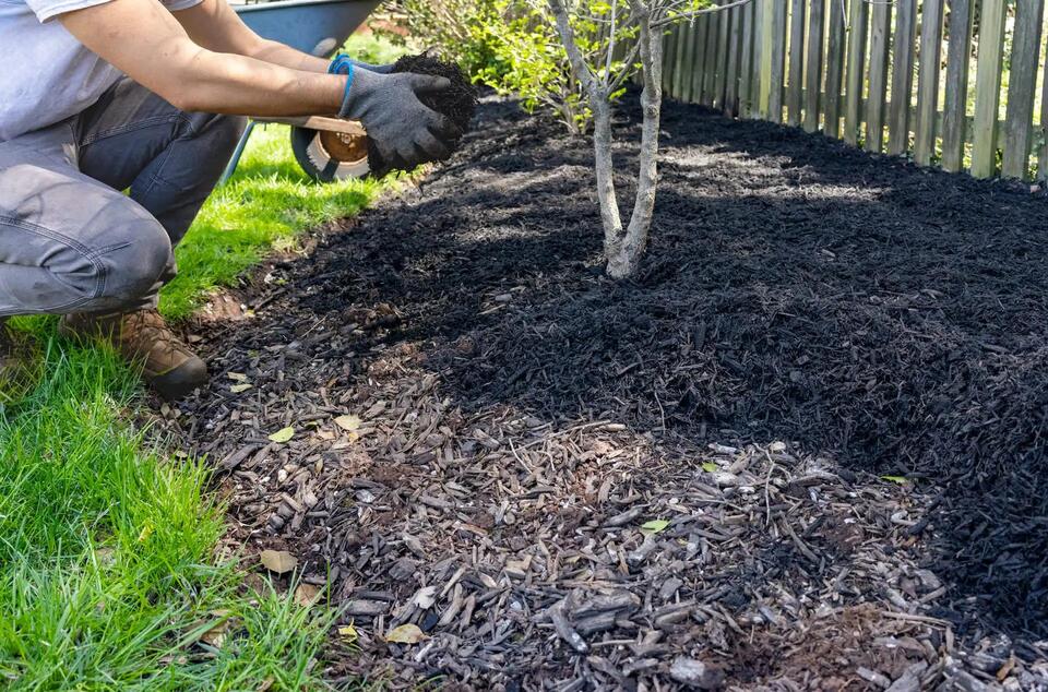 Backyard Project Drama: Rubber Mulch Warning!