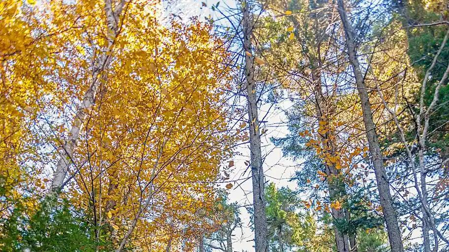 Would You Survive These 12 Wild Hikes?