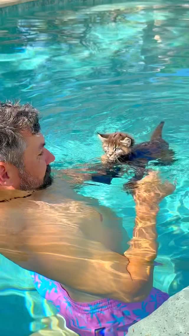 Kitten’s Giant Paws Make a Splash!