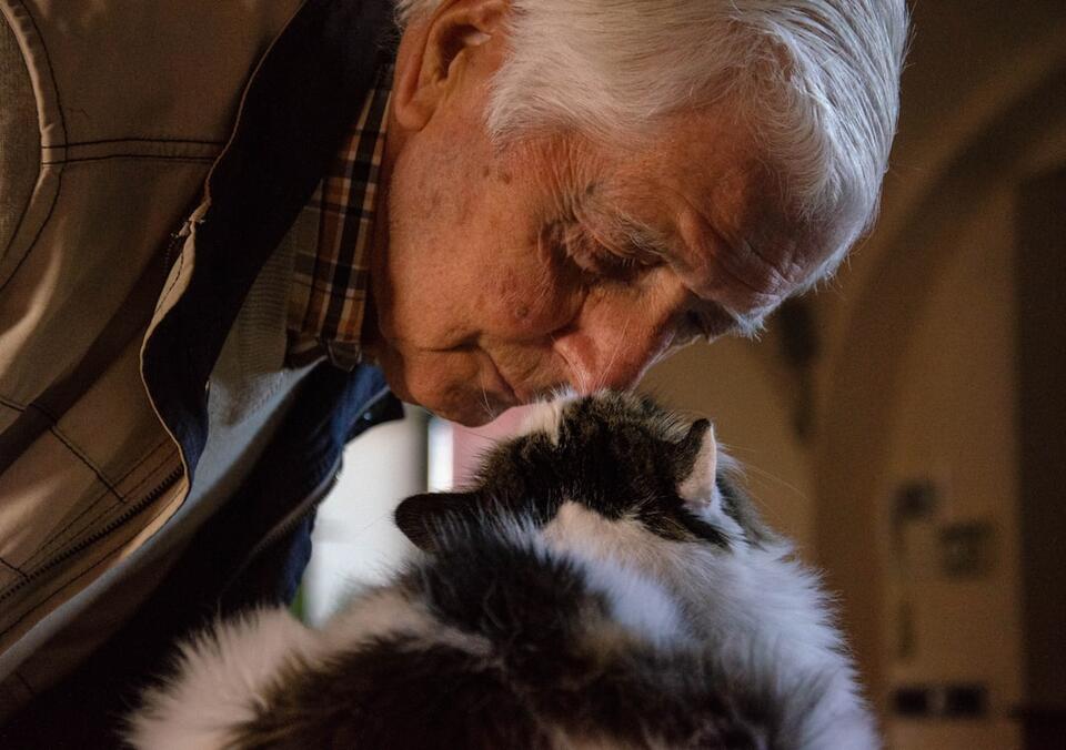 Cat Rudeness = Secret Love Notes?