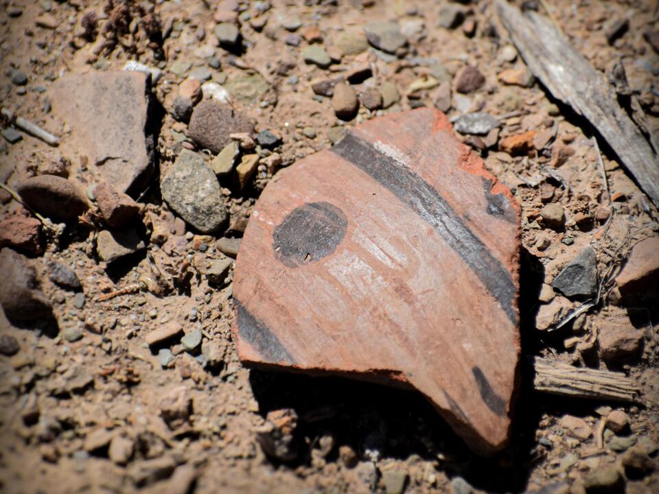 Ancient Temple City Found in Bolivia!