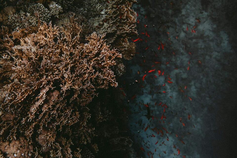 A Supervolcano Is Stewing Under the Pacific