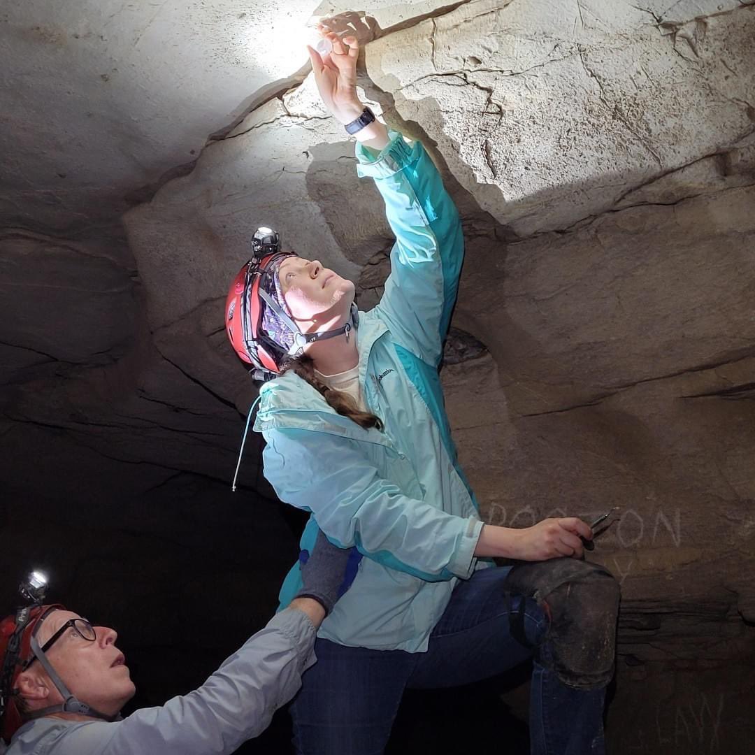 325-Million-Year-Old Shark Fossils?!