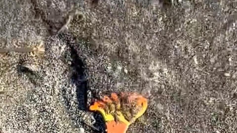 Decades-Old Trash Washes Up on Beach?!
