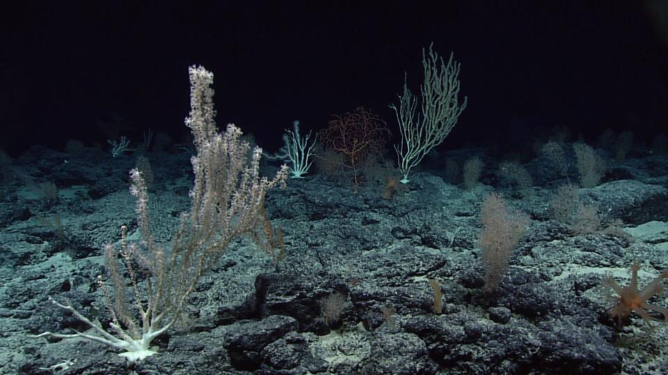 Deepest Shipwreck Ever Found Off France!
