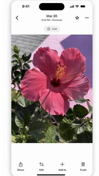Google Photos Update: iOS First, Android Waits?