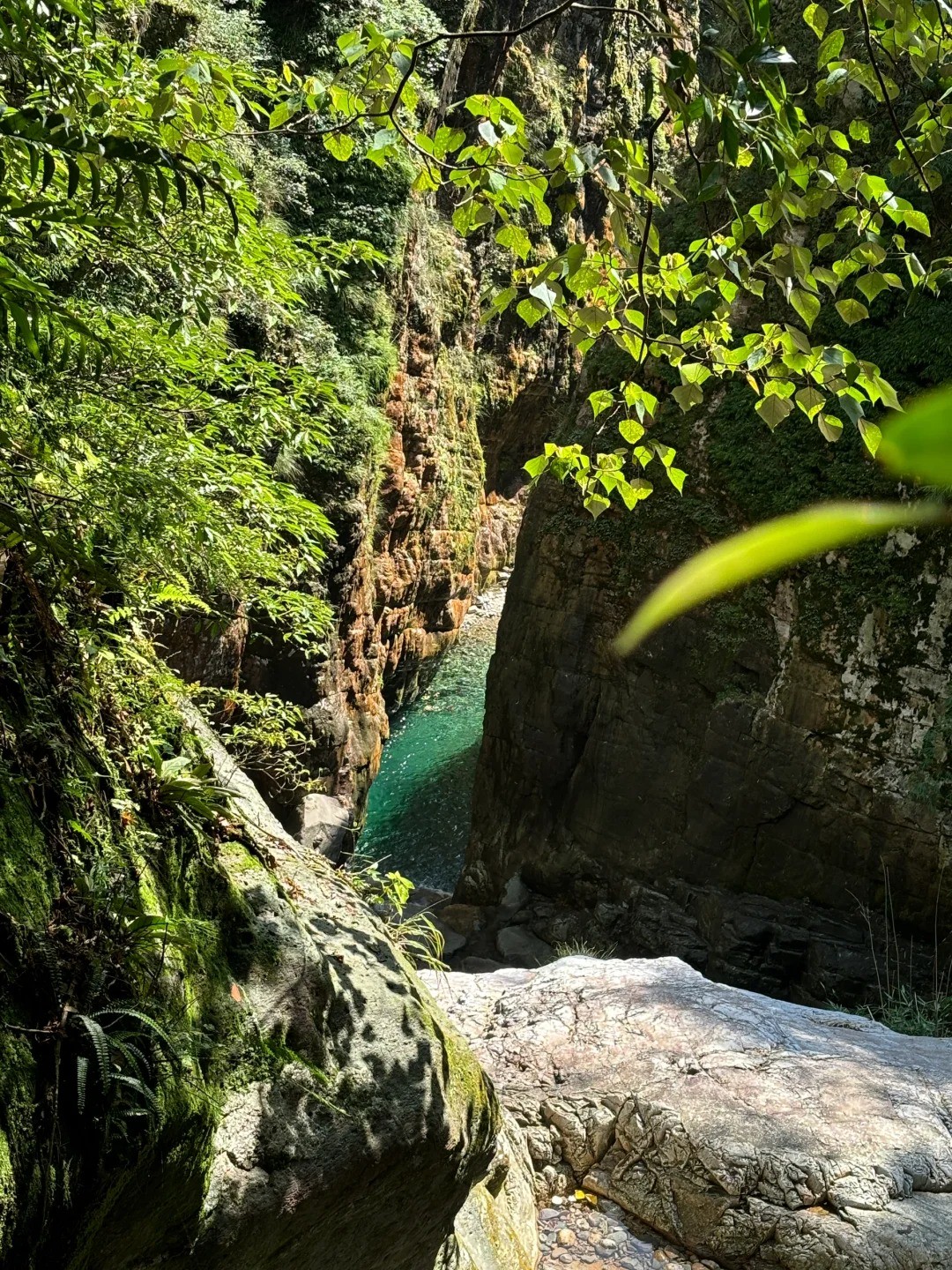 Isn't hiking just for this moment!