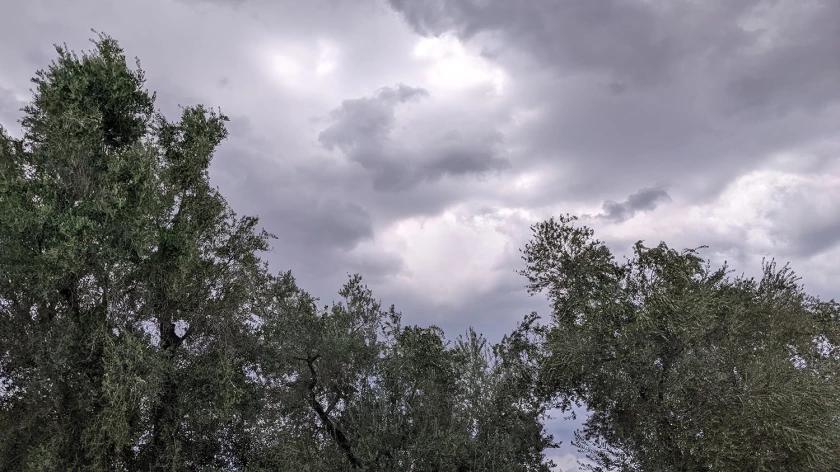 Monsoon Tease: Storms After the 4th?