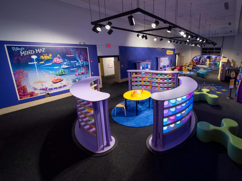 Would You Buy a Castle or a Pet Palace?