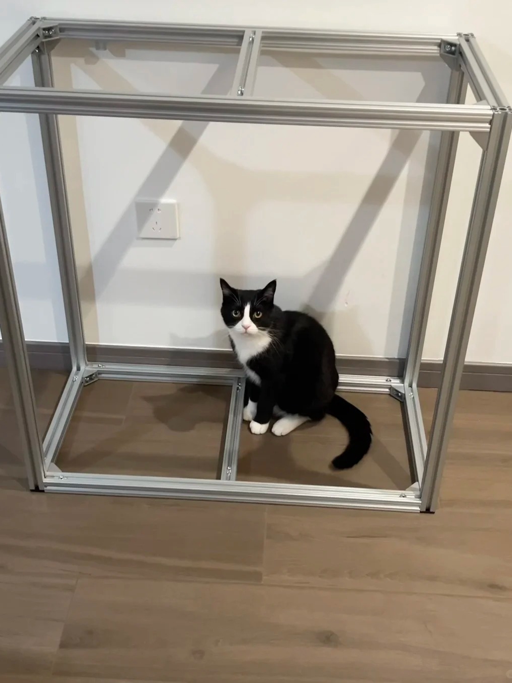 The cat at home is too nervous, so I decided to keep it in captivity