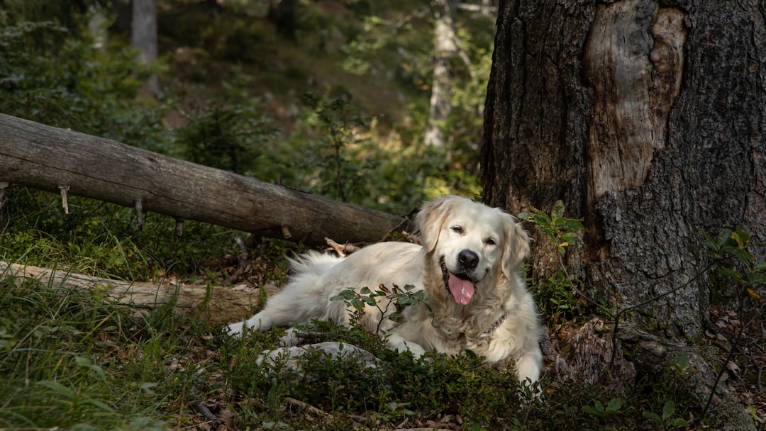 🐾 Day 69 with Grace: two months in. what’s changed? 📆💬