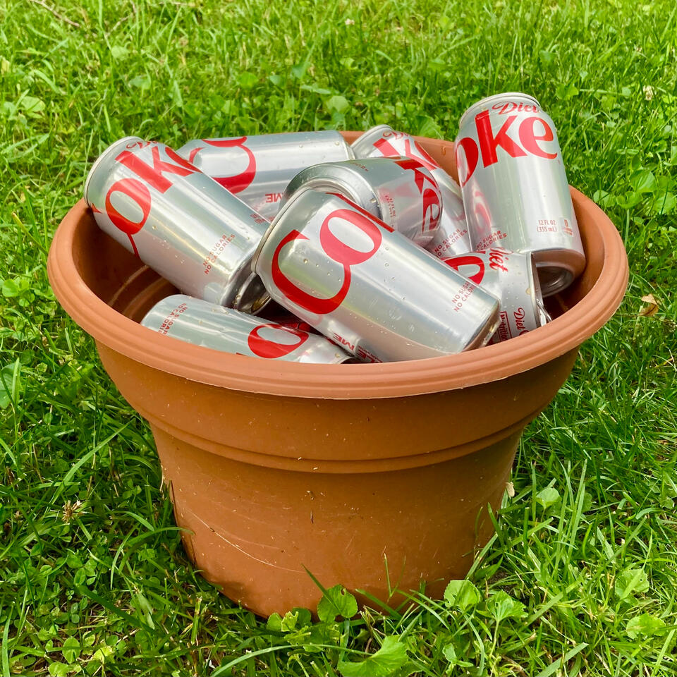 My Mom’s Wild Diet Coke Can Garden Hack