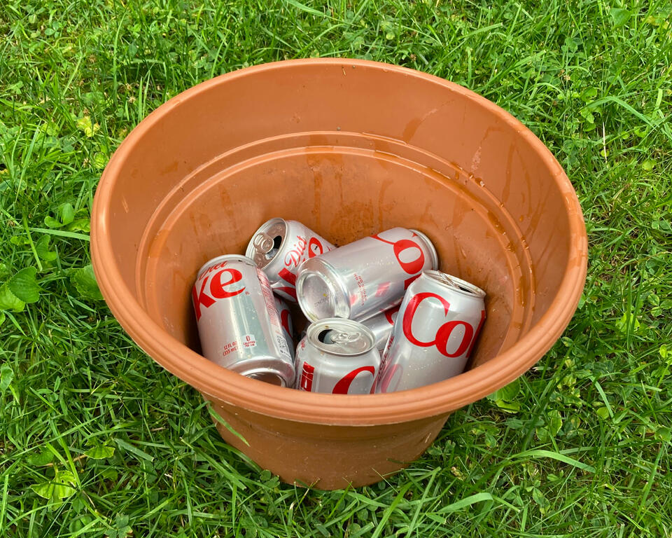 My Mom’s Wild Diet Coke Can Garden Hack