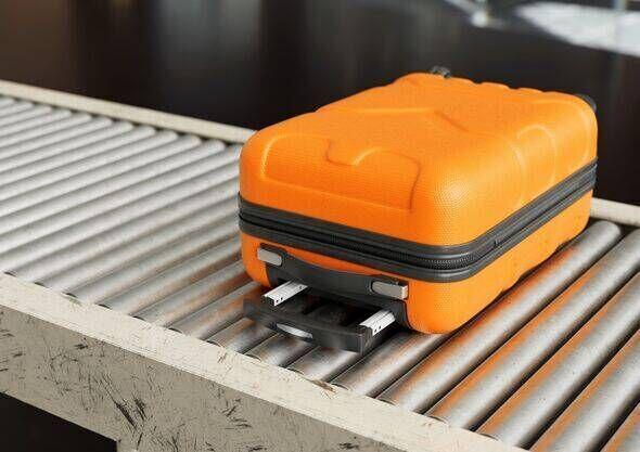 Why Marzipan Could Get Your Bag Searched