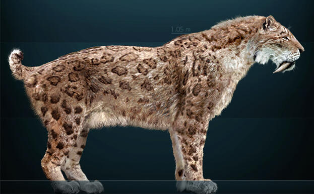Meet Patagonia’s Secret Saber-Tooth!