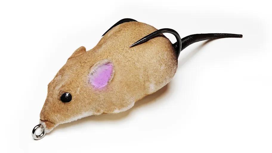 New Topwater Mouse Lure Is Wild!
