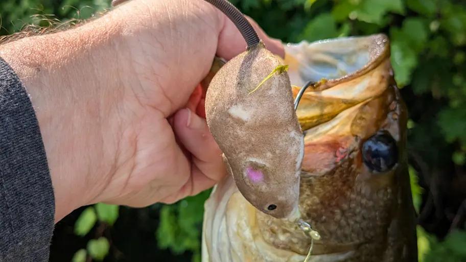 New Topwater Mouse Lure Is Wild!