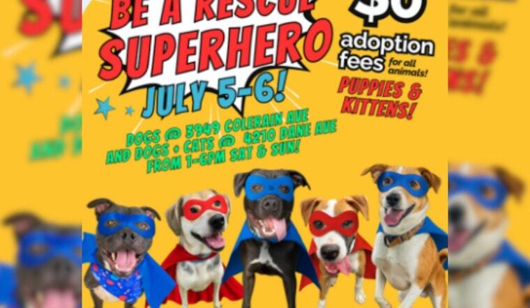 Adopt a Superhero Pet for Free!