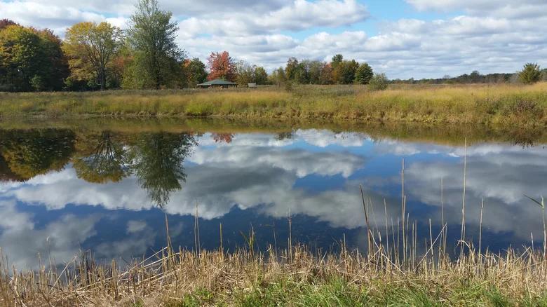 Ohio’s Secret Stargazing Gem Near Cleveland