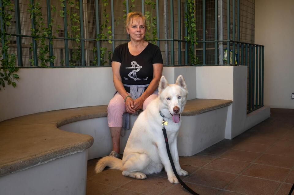 From Burned Pup to Beloved Buddy