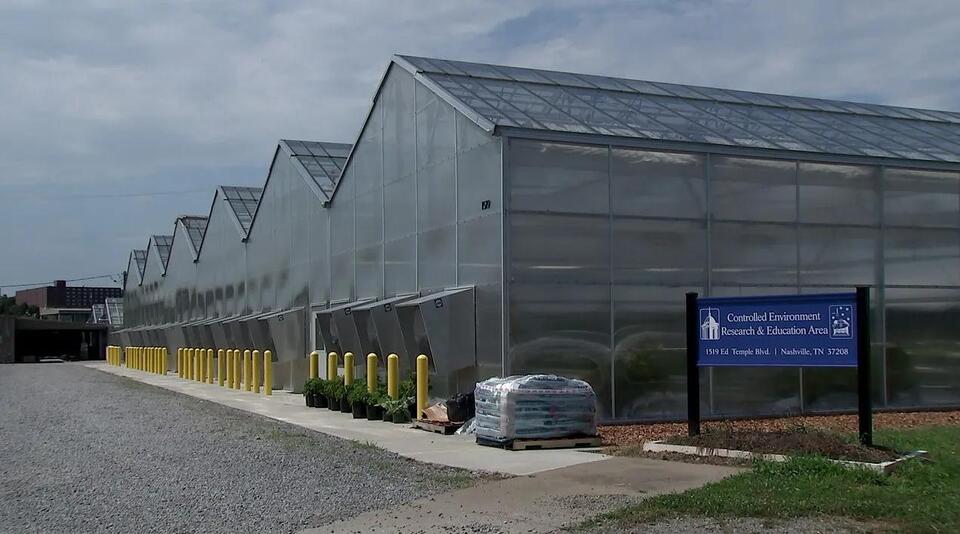 Why Everyone’s Trying Backyard Farming