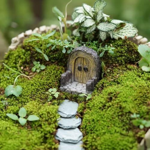 7 Plants for a Fairy Garden Glow-Up