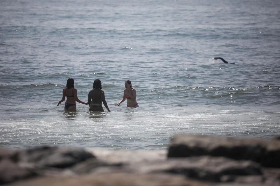 Sharks? Rockaway Surfers Don’t Flinch