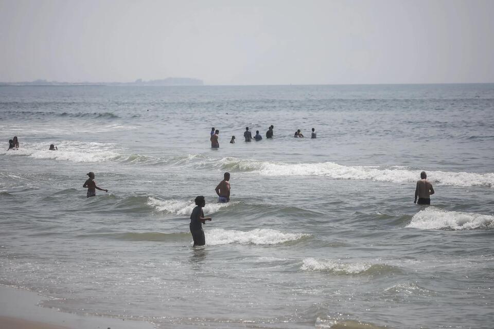 Sharks? Rockaway Surfers Don’t Flinch