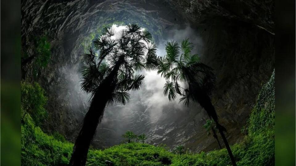 Secret Forests Hidden in Giant Sinkholes?!