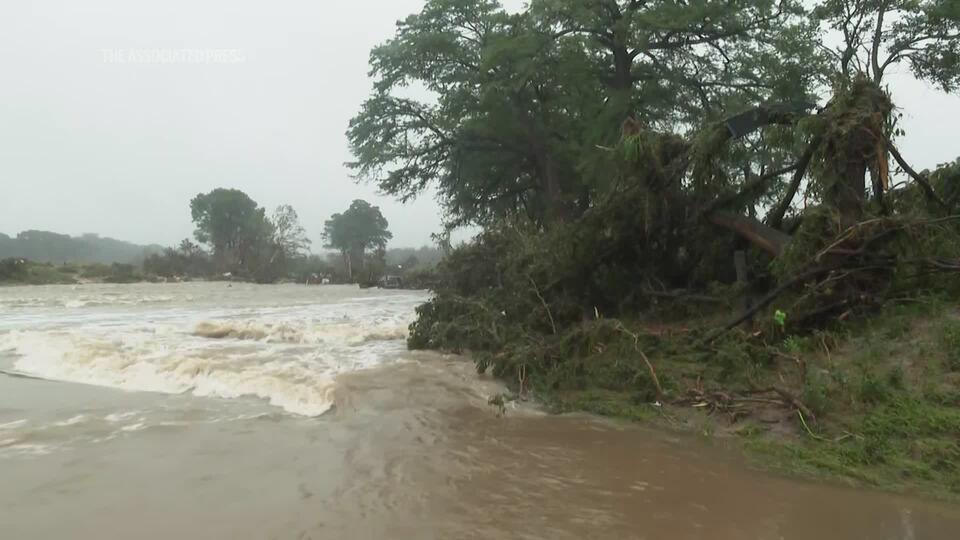 Survived a Flood by Climbing a Tree?!