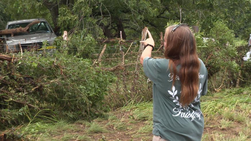 Survived a Flood by Climbing a Tree?!