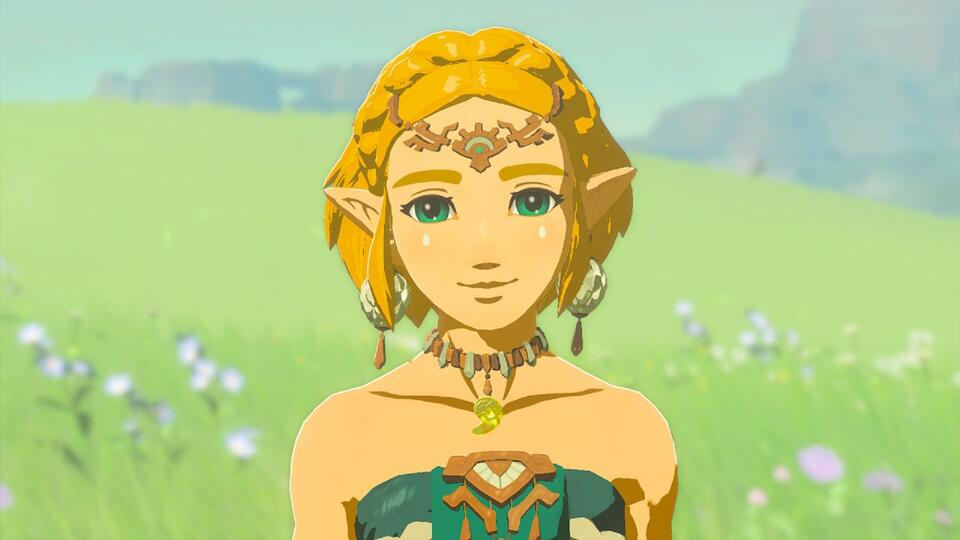 Would You Spend 3 Hours for the Perfect Zelda Pic?
