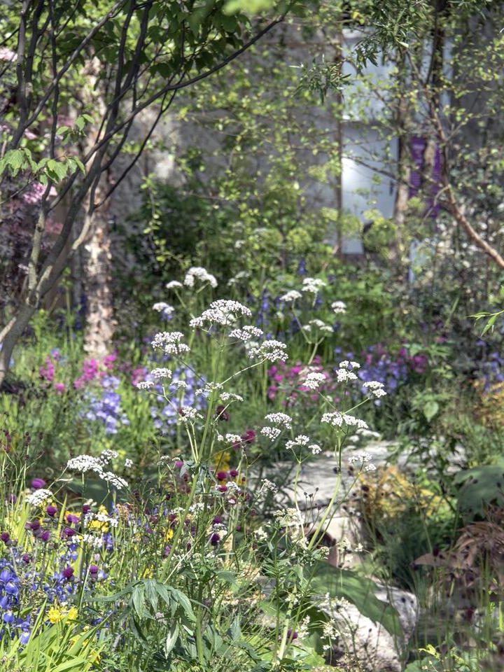 7 Plants for a Fairy Garden Glow-Up