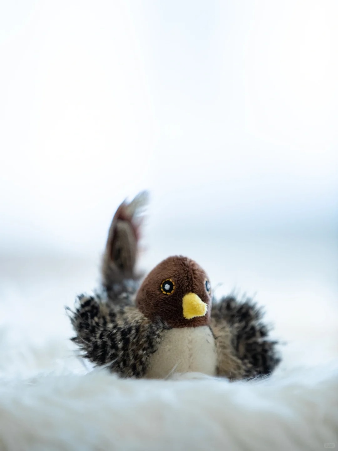 What gift should I give to the kitten? Of course, it's a bird gift ❗ ️