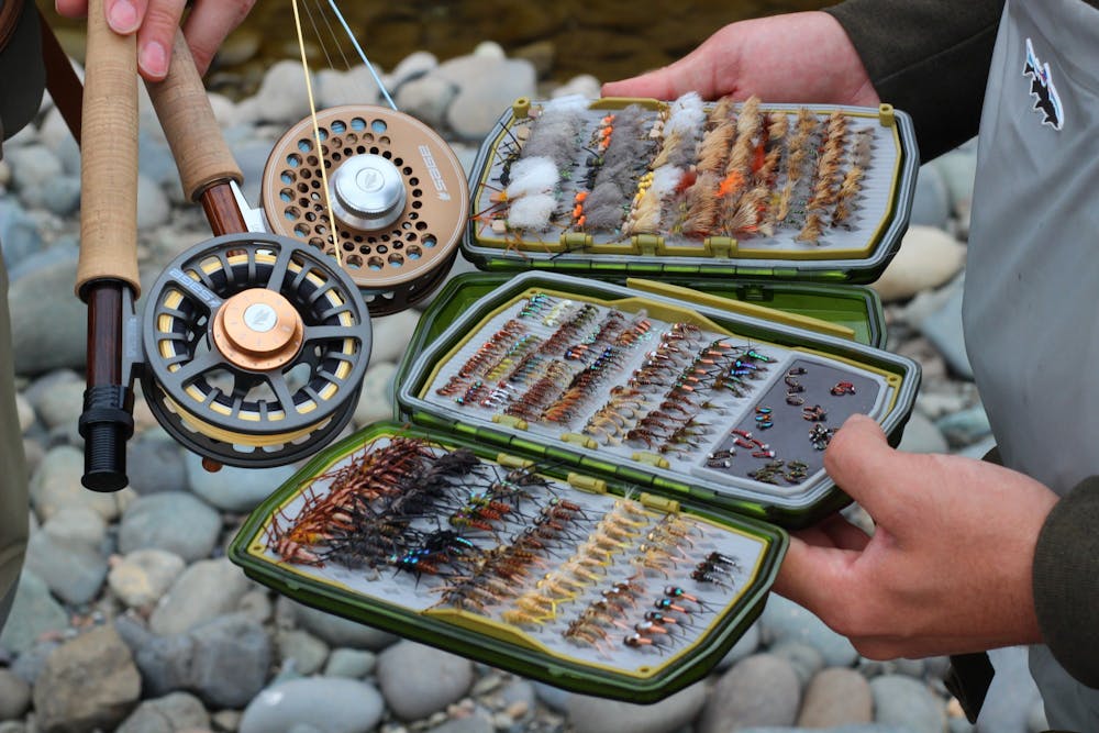Gear doesn't catch fish - knowledge does! 🎣