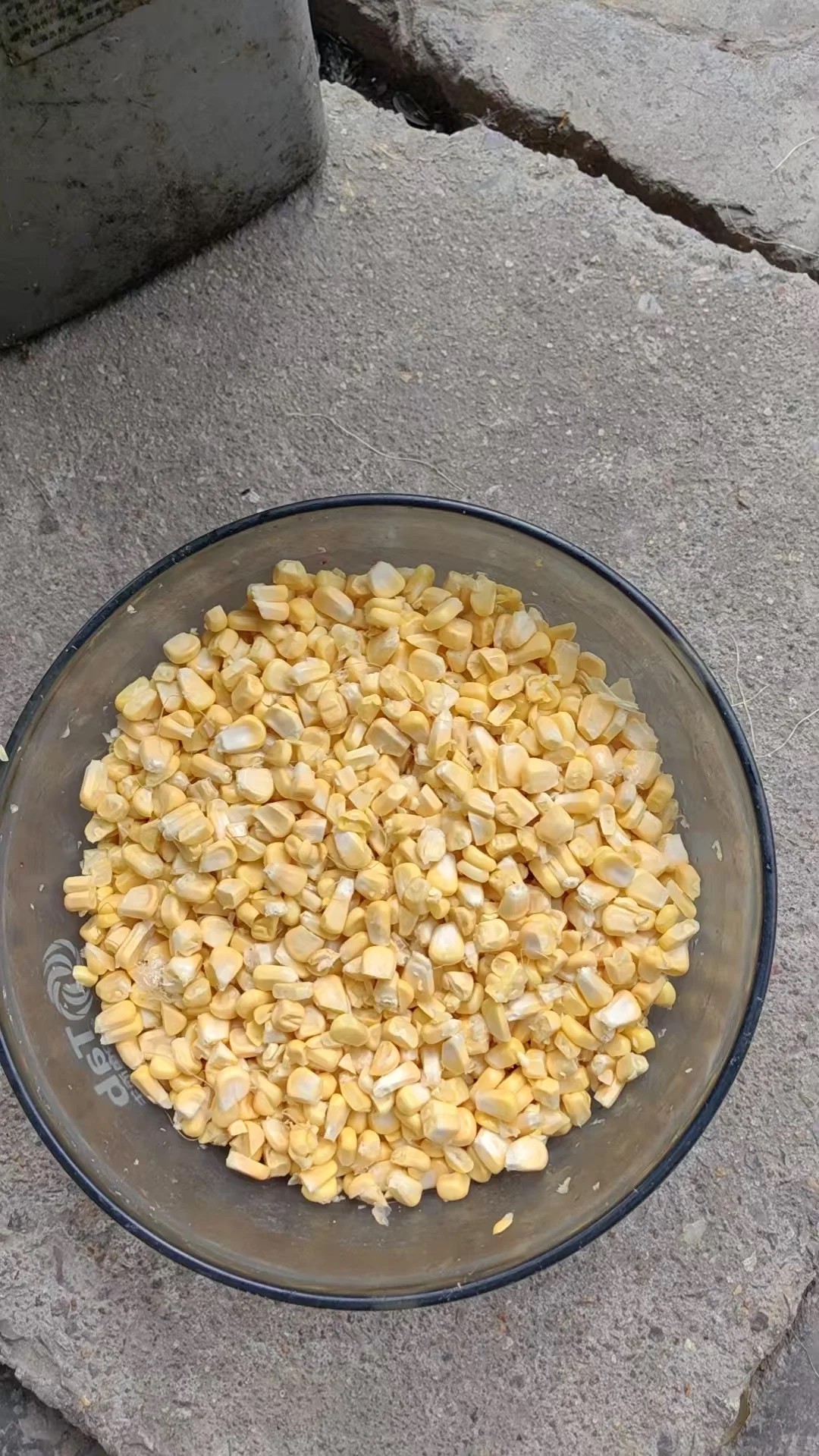 Anyone tried corn as bait? It actually works! 🌽