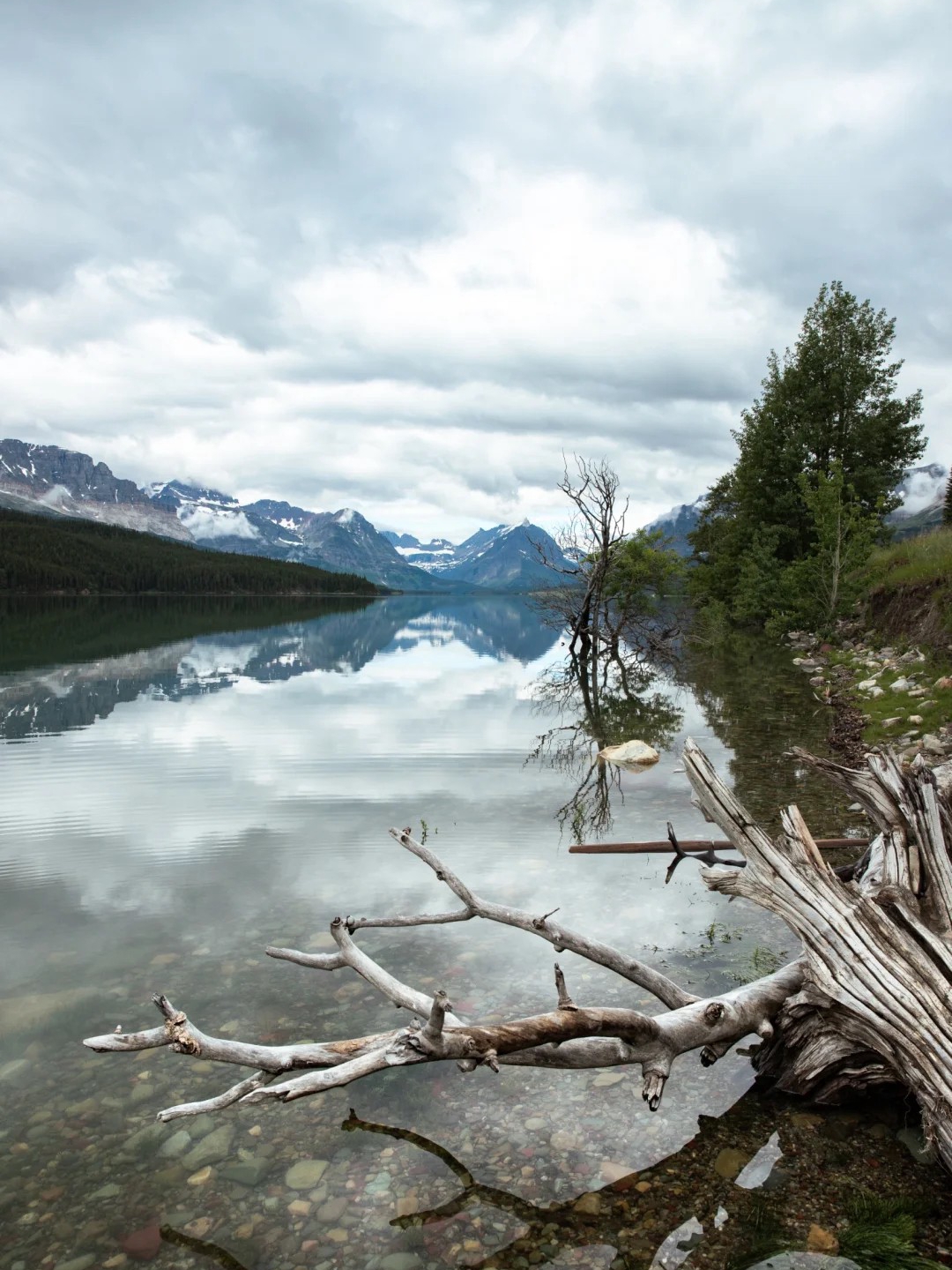 Top Trails in Glacier