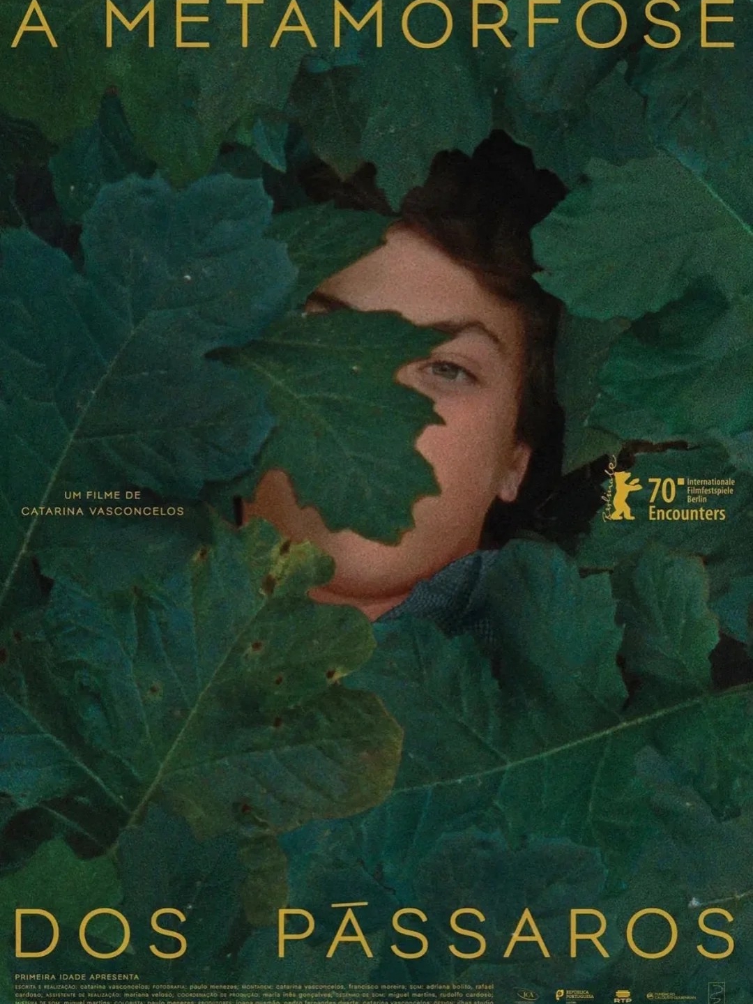 A Film So Beautiful, It Left Me Speechless