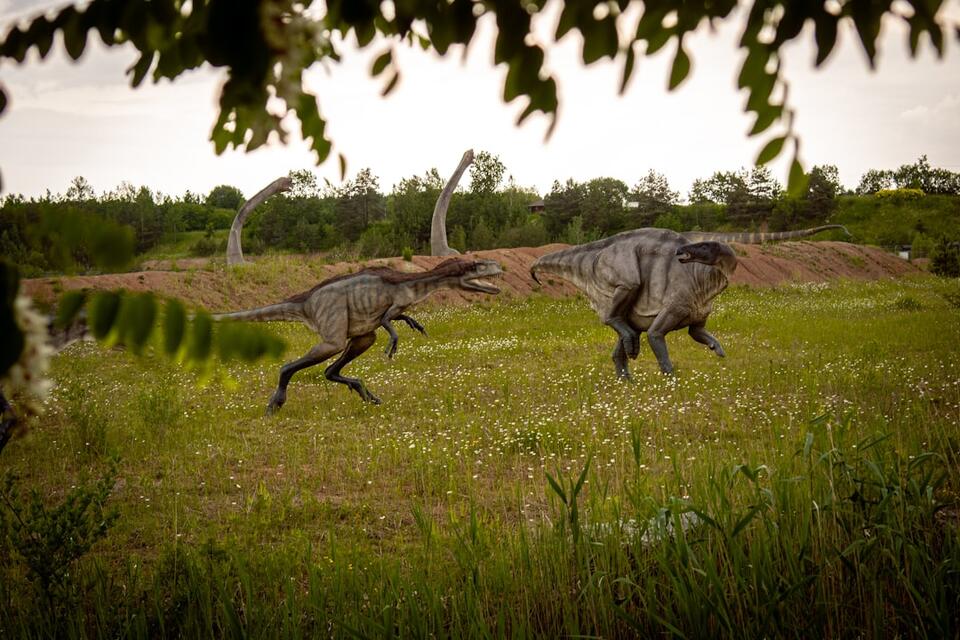 Microraptor Feathers: Real Dino Drama! 🦖