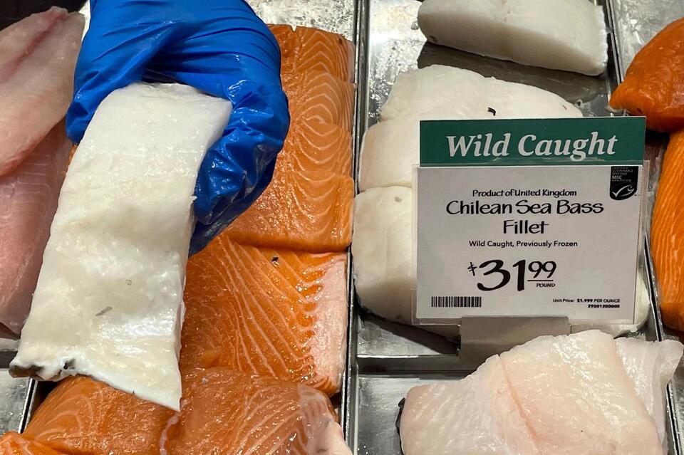 Seafood’s Secret: Mercury Risk Alert!