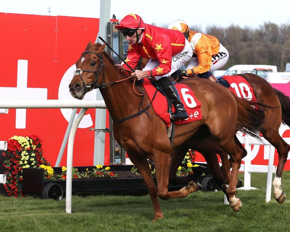 Royal Ascot Placepot Payout Drama!